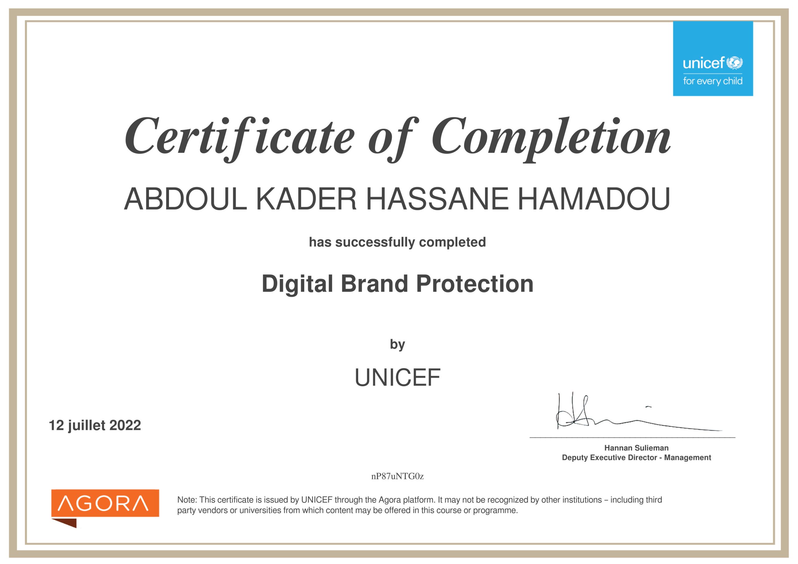 Abdoul Kader Hassane Hamadou Ceo-Fondateur 10 | Kasuwa Digital Digital Brand Protection_Course certificate - Digital Brand Protection